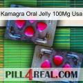 Kamagra Oral Jelly 100Mg Usa 15